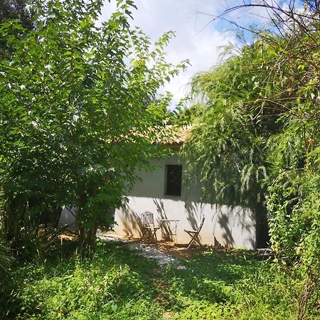 Villa Griseor Porto Vecchio Esterno foto