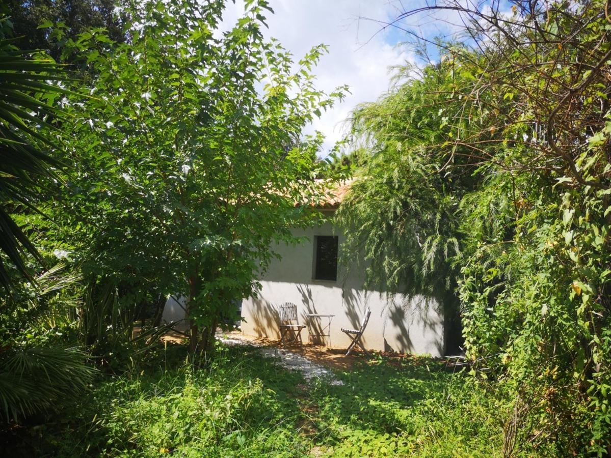 Villa Griseor Porto Vecchio Esterno foto