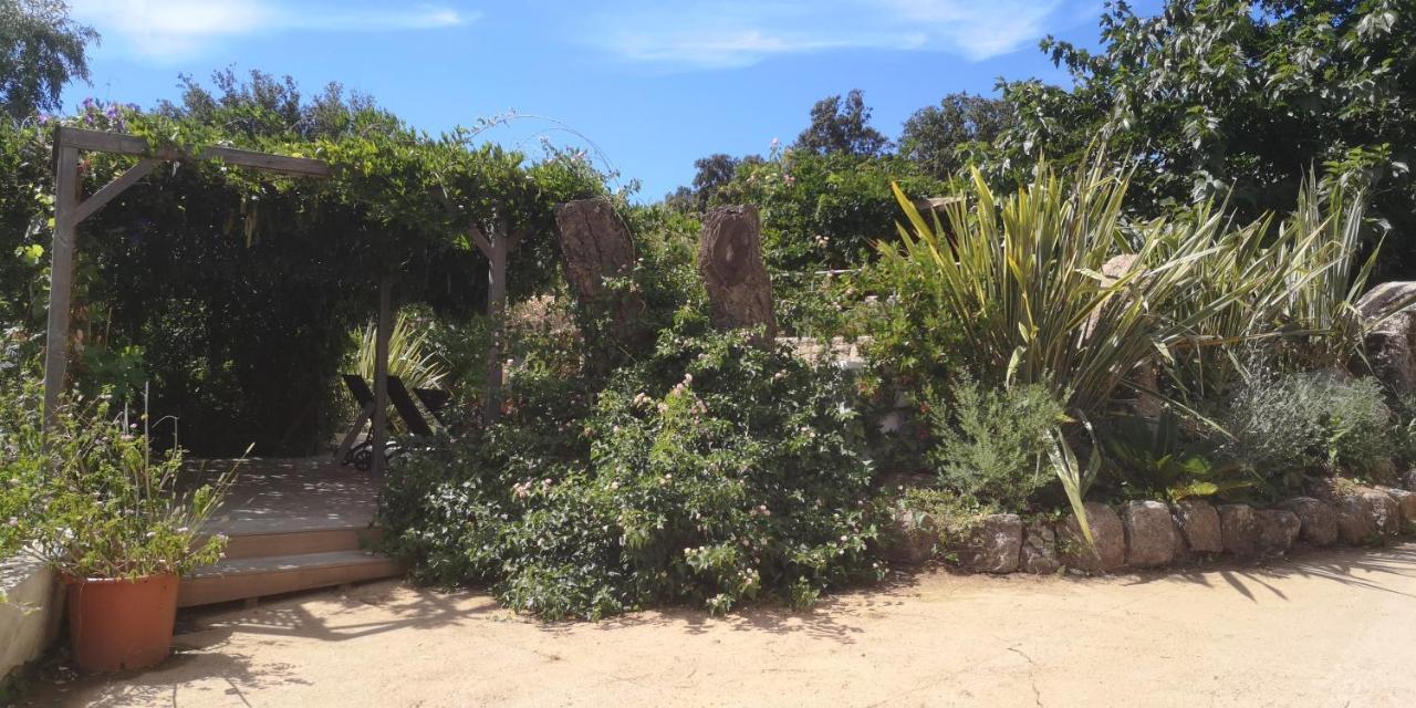 Villa Griseor Porto Vecchio Esterno foto