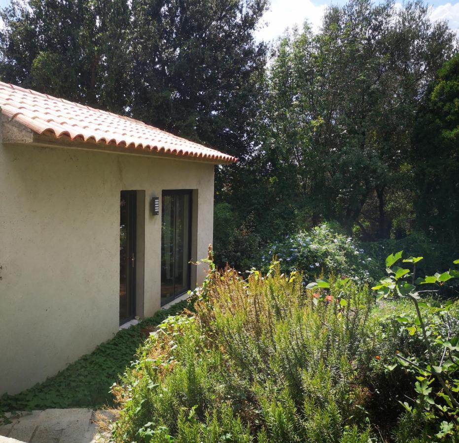 Villa Griseor Porto Vecchio Esterno foto